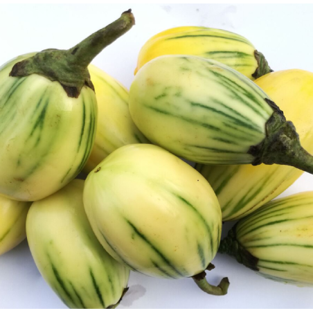 Garden Egg (Egg Plant) 1 Pack, Fresh, Organic | Delivered in Dubai & UAE by OJAMEA.COM