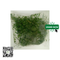 Frozen Scent Leaf 250g Frozen Scent Leaf 250g