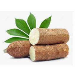 Cassava Tuber (Tapioca) 1kg