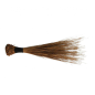 African Broom