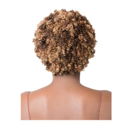 It's a Wig Short Length Curly Wavy Style 100% Human Hair Wig - HH D...