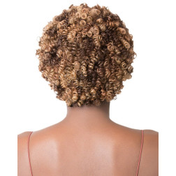 It's a Wig Short Length Curly Wavy Style 100% Human Hair Wig - HH D...