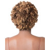 It's a Wig Short Length Curly Wavy Style 100% Human Hair Wig - HH D...