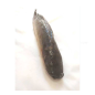 Frozen Catfish (Small Size) 1piece