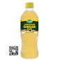 Pure Foods Jamaican Ginger Beer 500ml
