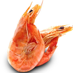 Dry Crayfish (Oporo) 100g by AFG – Delivered in Dubai & UAE
