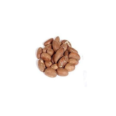 Bitter Kola 1kg - Delivered in Dubai & UAE by OJAMEA.COM
