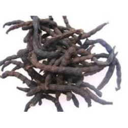 Uda Seed (Blended) 100g by African Farm & Gardens | OJAMEA.COM