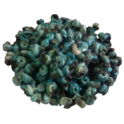 Buy Periwinkles Sea Snail 250g Delivered in Dubai & UAE | OjaMEA