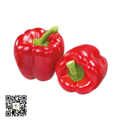 Red Bell Peppers (Tatashe) 0.5 kg