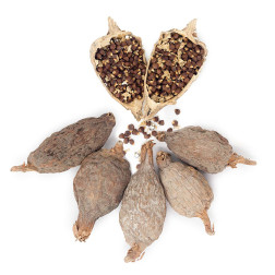 Alligator pepper is celebrated for it’s anti-oxidant, anti-inflamma...