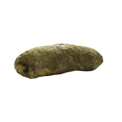 Weight ranges from 1.1 kg - 1.3kg Yam Tuber