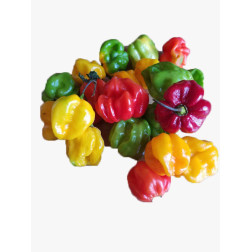 Ignite your culinary creations with the vibrant and fiery essence o...