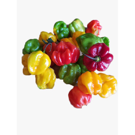 Ignite your culinary creations with the vibrant and fiery essence o...