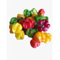 Scotch Bonnet (Aka Ata Rodo) Frozen Pepper 5kg Scotch Bonnet (Aka Ata Rodo) Frozen Pepper 5kg