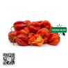 Ignite your culinary creations with the vibrant and fiery essence o...