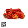 Ignite your culinary creations with the vibrant and fiery essence o...