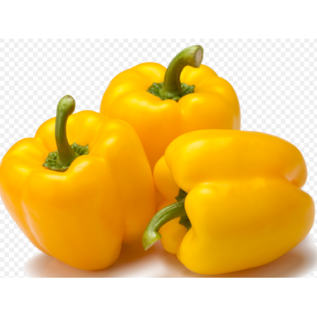  Add a burst of sunshine to your culinary creations with our Fresh ...