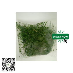Frozen Ugwu (Pumpkin Leaves) 250g by African Farm & Gardens (AFG)