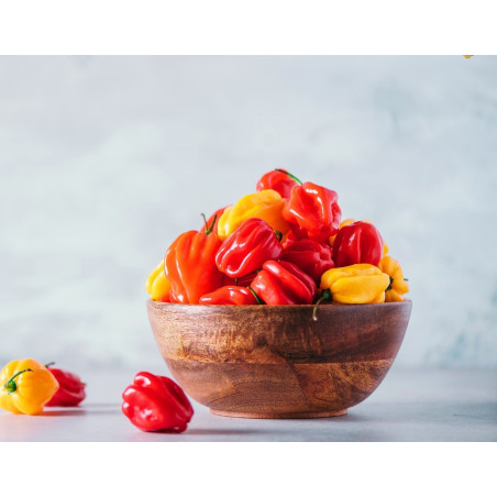 Scotch Bonnet Pepper (Aka Ata Rodo) Frozen Pepper Pack 160g