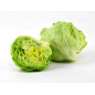 Cabbage White 1kg