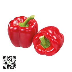 Red Bell Peppers (Tatashe) 1kg by African Farm & Gardens (AFG)