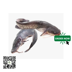 Frozen Catfish (Big Size) 1piece