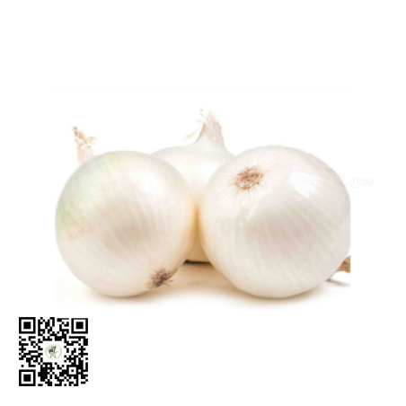 White Onions 1kg