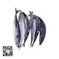 Frozen Nigerian Titus Fish (Mackerel) 1Cartoon