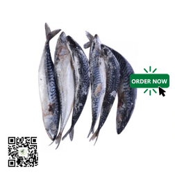 Frozen Nigerian Titus Fish (Mackerel) 1Cartoon
