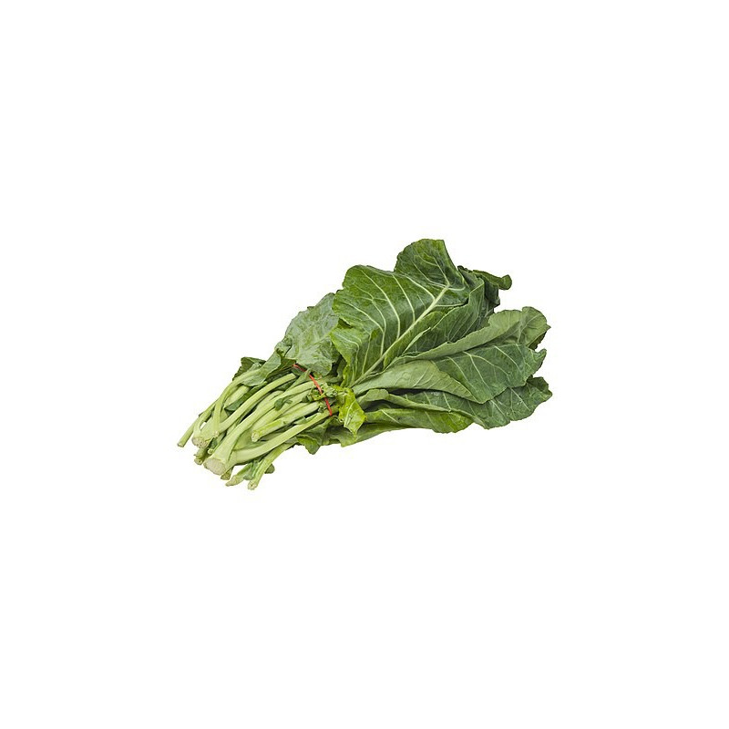 Fresh Sukuma (collard greens) bundle