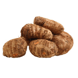 Cocoyam is a tropical starchy tuberous root crop. Every home should...