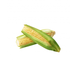 Sweet Corn fresh pack (3pieces)