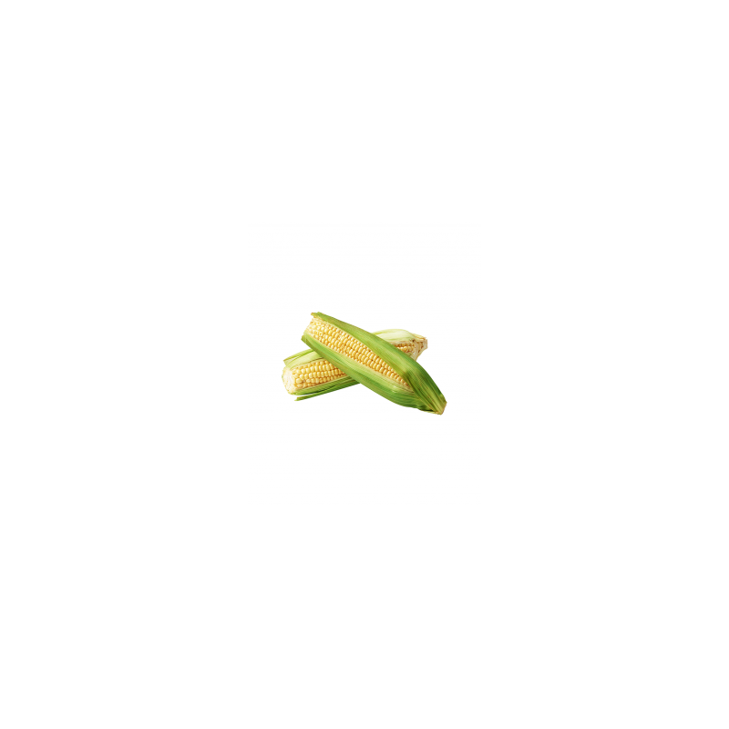 Sweet Corn fresh pack (3pieces)