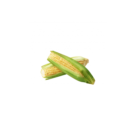 Sweet Corn fresh pack (3pieces)