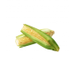 Sweet Corn fresh pack (3pieces)
