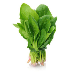 Fresh Spinach Bundle 500g - Local Origin | Delivered in UAE by OJAMEA.COM