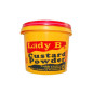 Lady B Custard Powder 500g