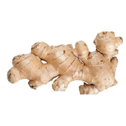 Ginger (pack) 750g