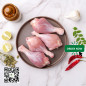 Chicken Drumsticks 12kg - 15kg Carton