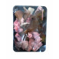 Cow (Offal) Assorted Meat  1Kg Cow (Offal) Assorted Meat  1Kg