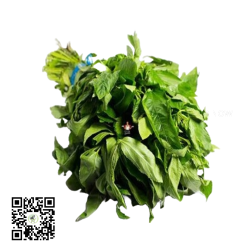 Fresh Ewedu Leaf Bundle - Vibrant and Nutritious The essential flav...