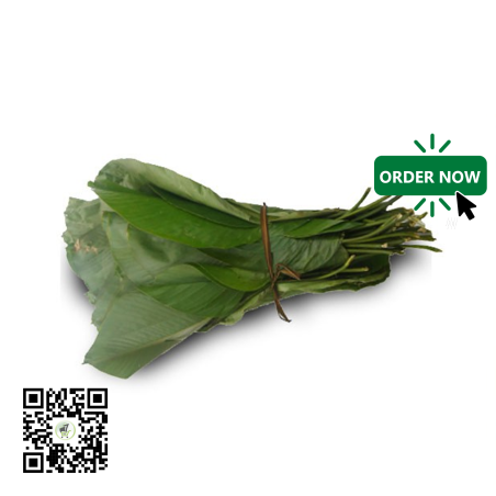 Authentic Moi Moi Leaves (Pack of 12) – Nature’s Perfect Wrap for T...
