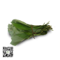 Moi Moi Leaf (pack of 12 leaf)