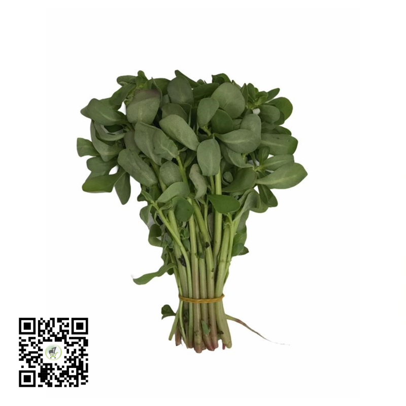 Fresh Water Leaf bundle Fresh Water Leaf bundle