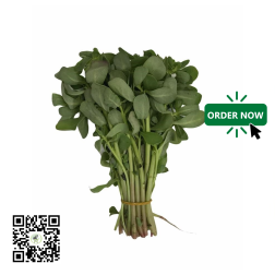 Fresh Water Leaf bundle