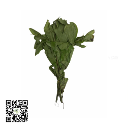 Your culinary creations with our exclusive Oha Leaf bundle by Afric...