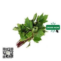 Fresh Yakuwa Leaves 10g by African Farm & Gardens (AFG)