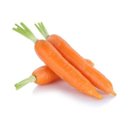 The carrot is a root vegetable, usually orange in color, though pur...