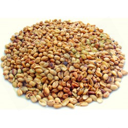 Roasted Ukwa 100 g